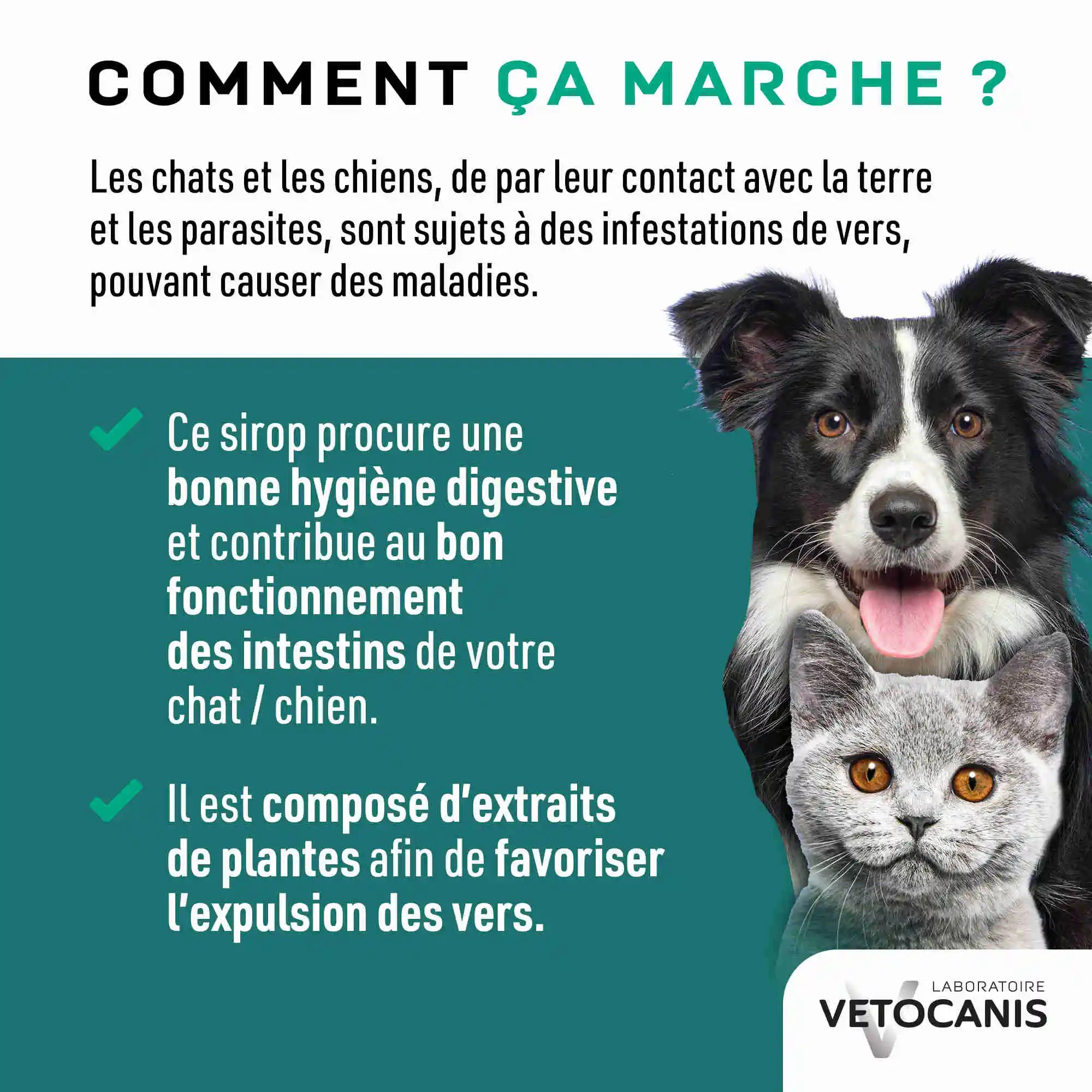 Sirop contre les vers du chien et chat comment ça marche