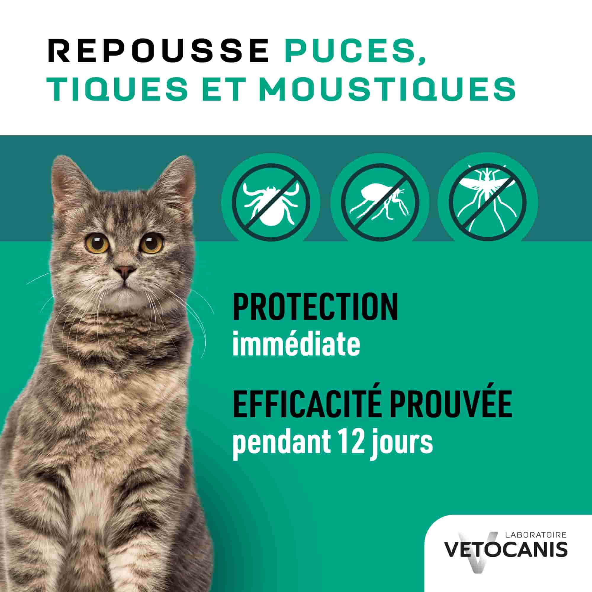 Spray pour chat qui repousse puces, tiques et moustiques avec protection immédiate