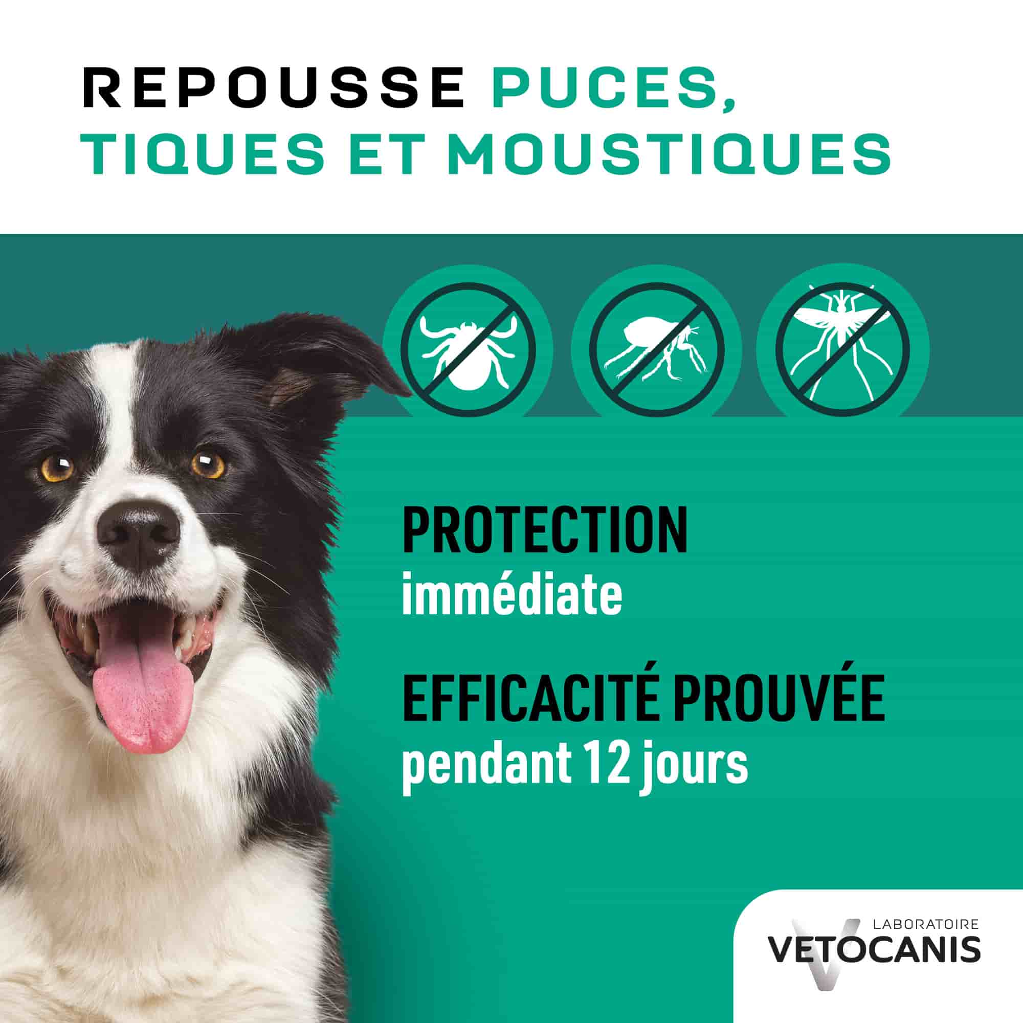 Spray repoussant puces, tiques et moustiques avec protection immédiate