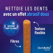 dentactiv nettoie les dents