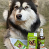 chien avec produits O Naturel