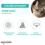 collier apaisant chat