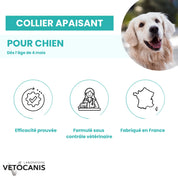 collier apaisant chien