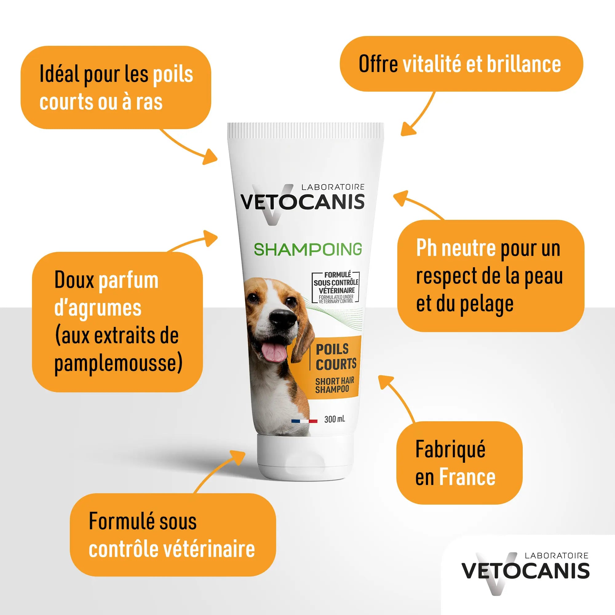 avantage shampoings poils courts