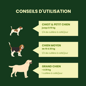 Conseils utilisation chien poudre dentaire Vetocanis 