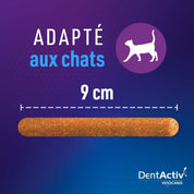 dentactiv adapte aux chats