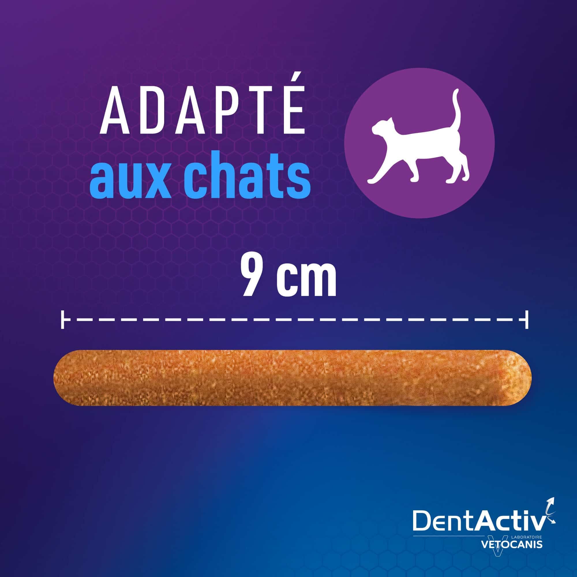 dentactiv adapte aux chats