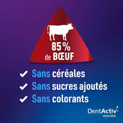 dentactiv boeuf chien