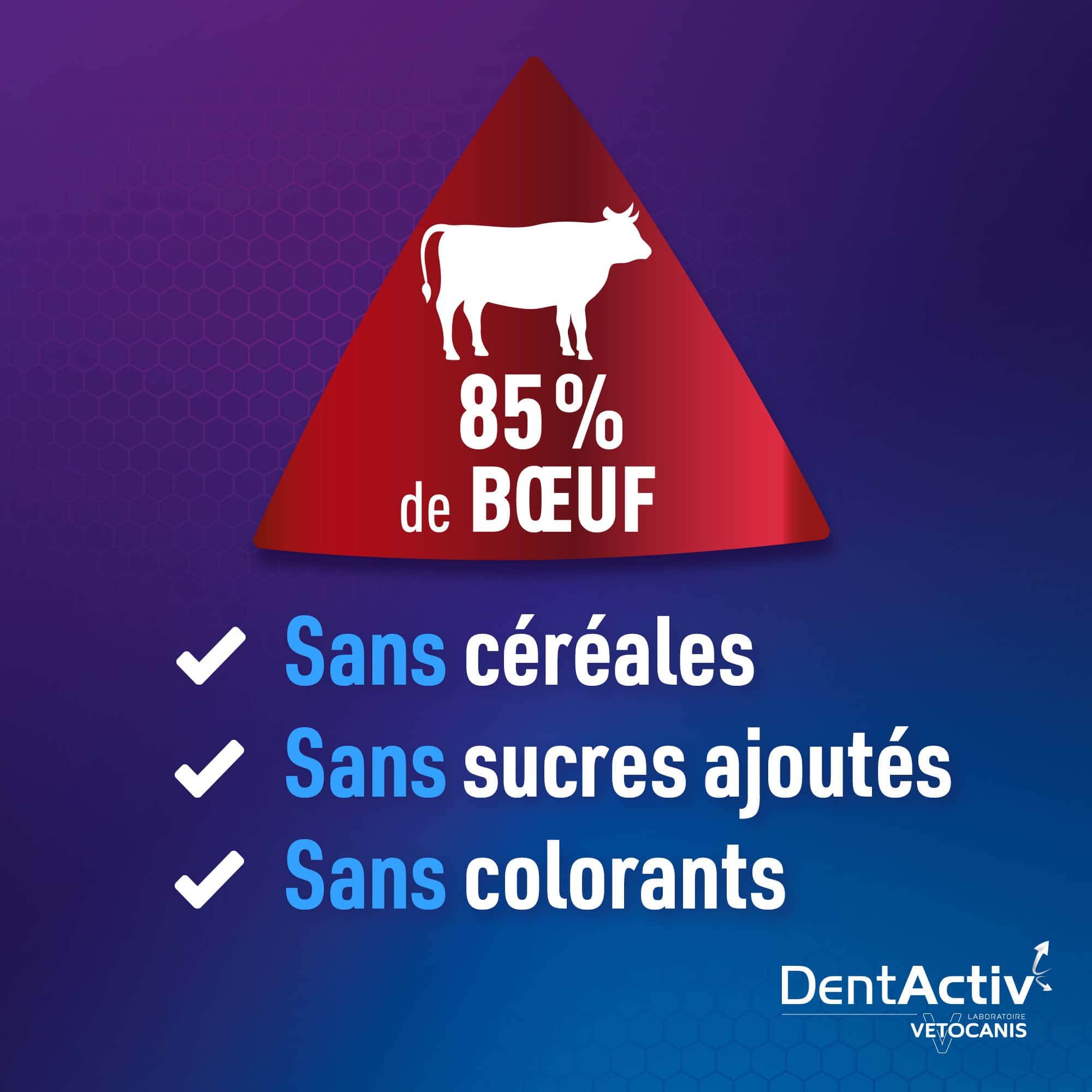 dentactiv boeuf chien