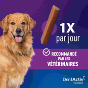 friandise dentaire chien