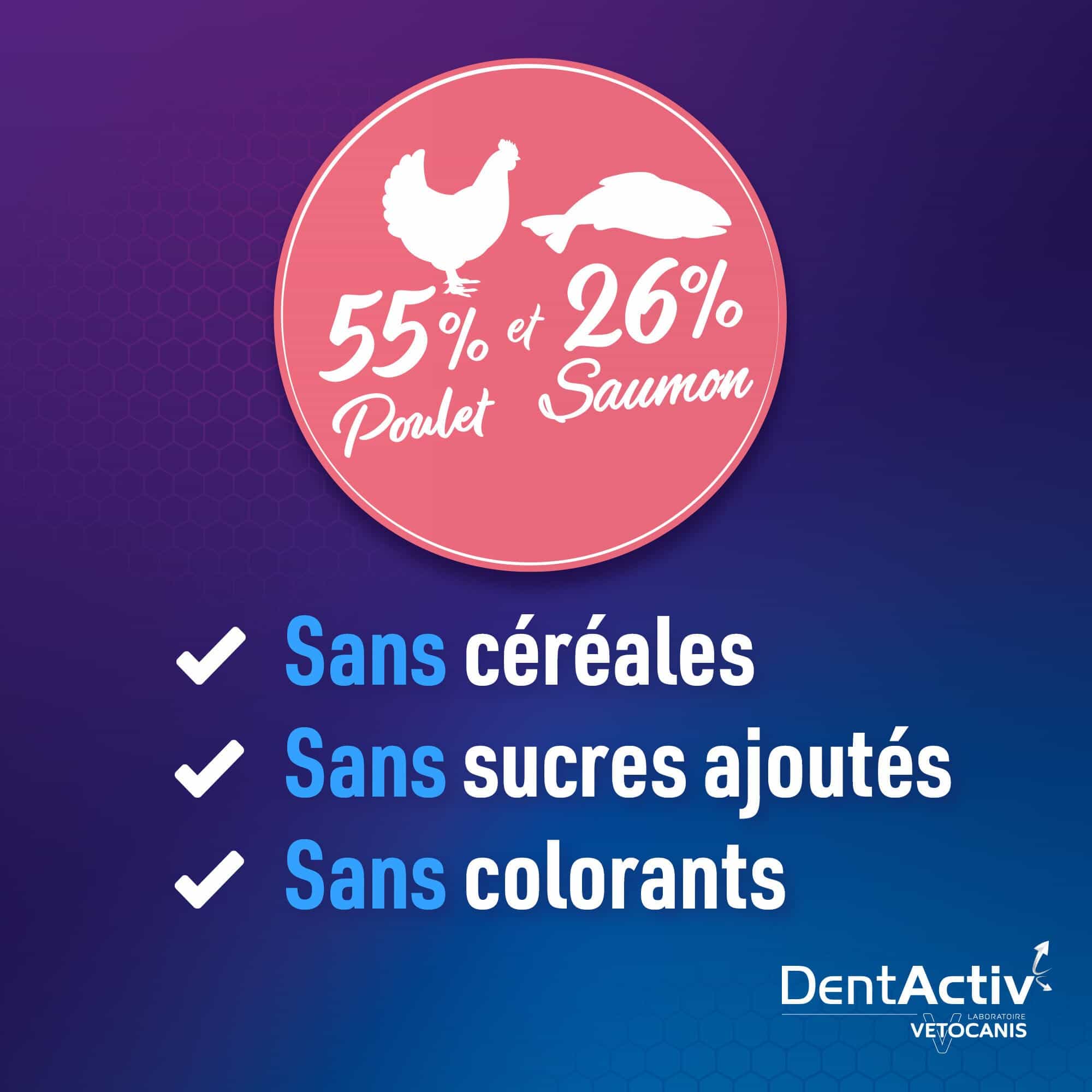 dentactiv saumon poulet