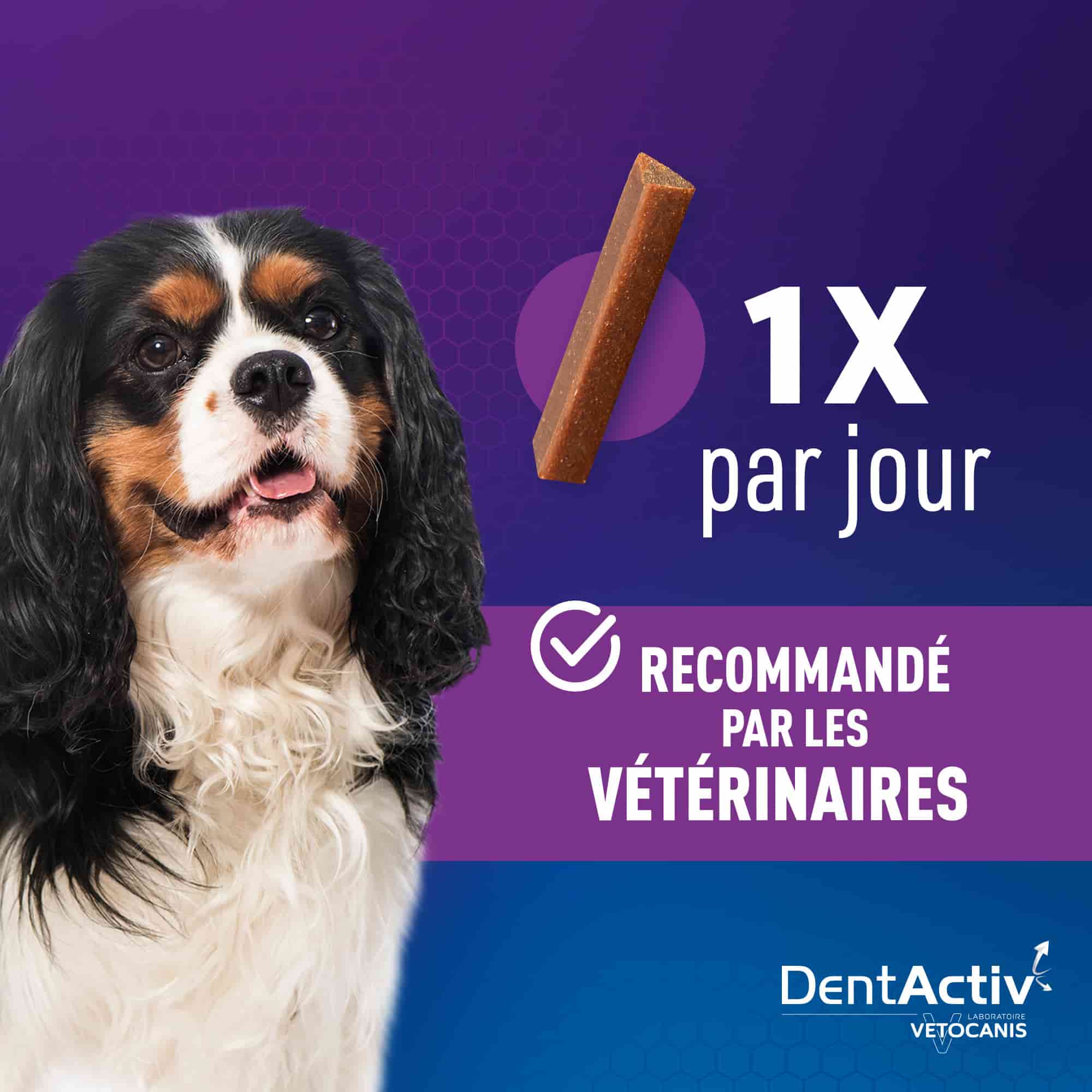 stick dentaire 1x par jour
