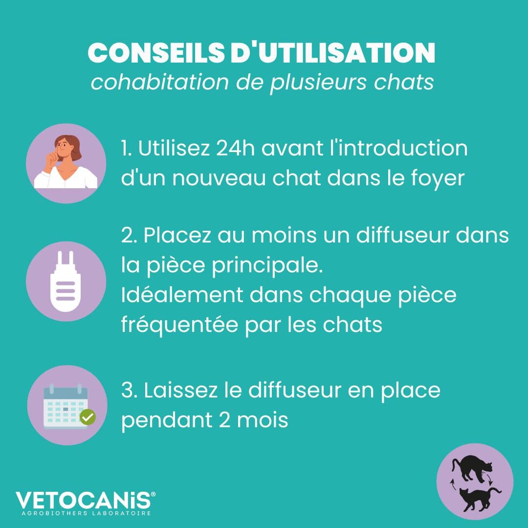 conseils utilisation diffuseur apaisant chat en cas de cohabitation Vetocanis