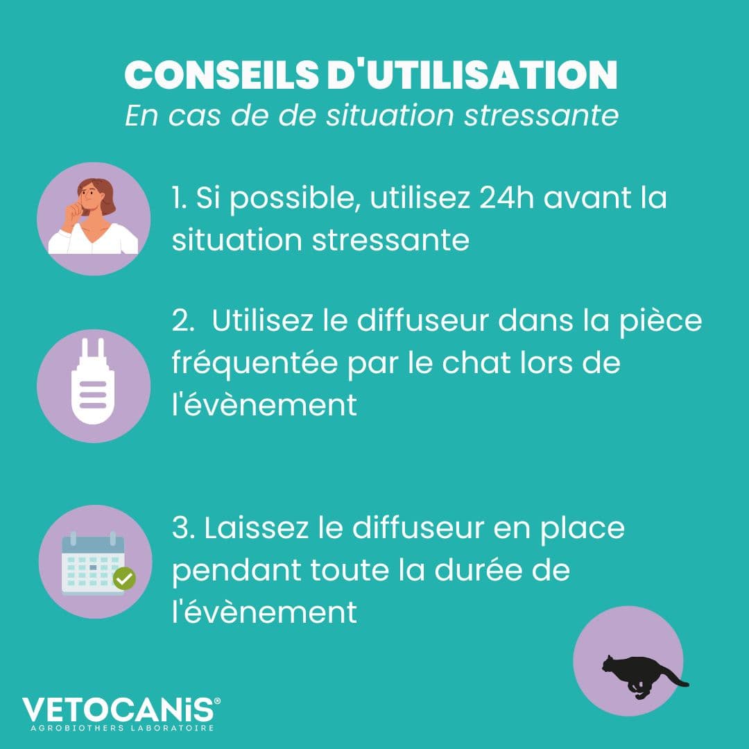 conseils utilisation diffuseur apaisant chat situation stressante Vetocanis
