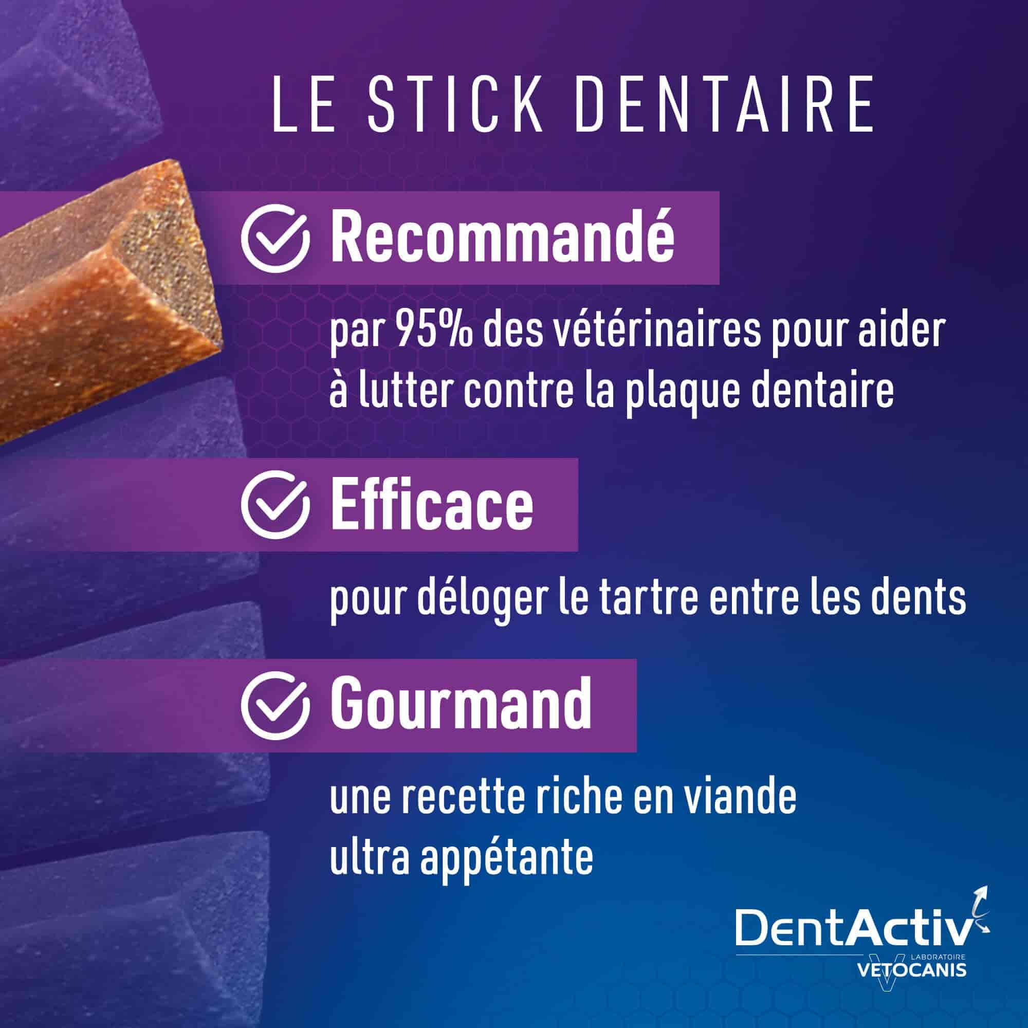 Dentactiv nettoie les dents