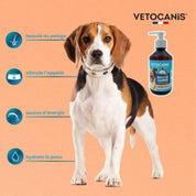 bénéfices huile de saumon chien