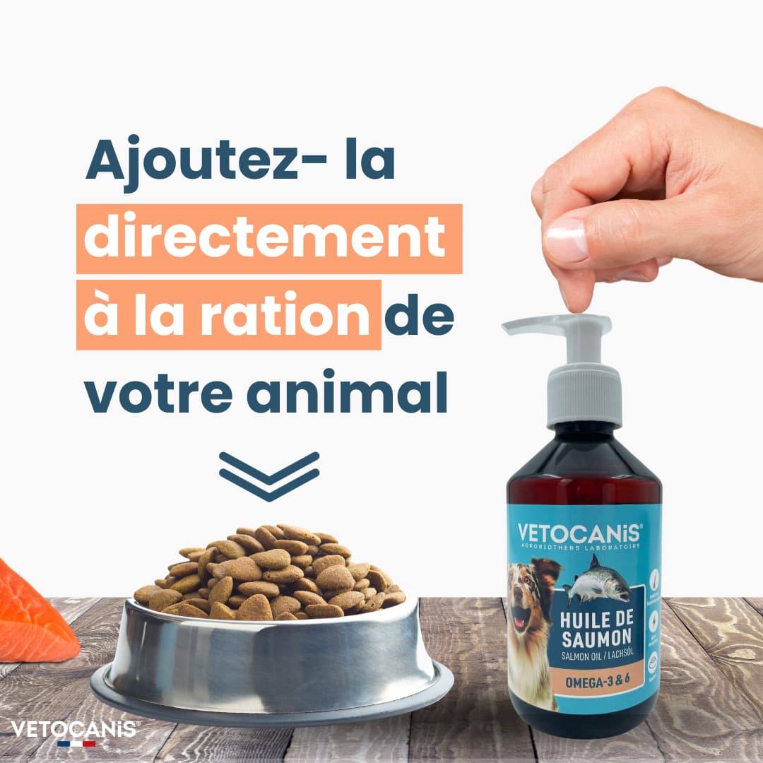 Huile de saumon pour chien : pourquoi et comment l'utiliser ? - JMT  Alimentation Animale