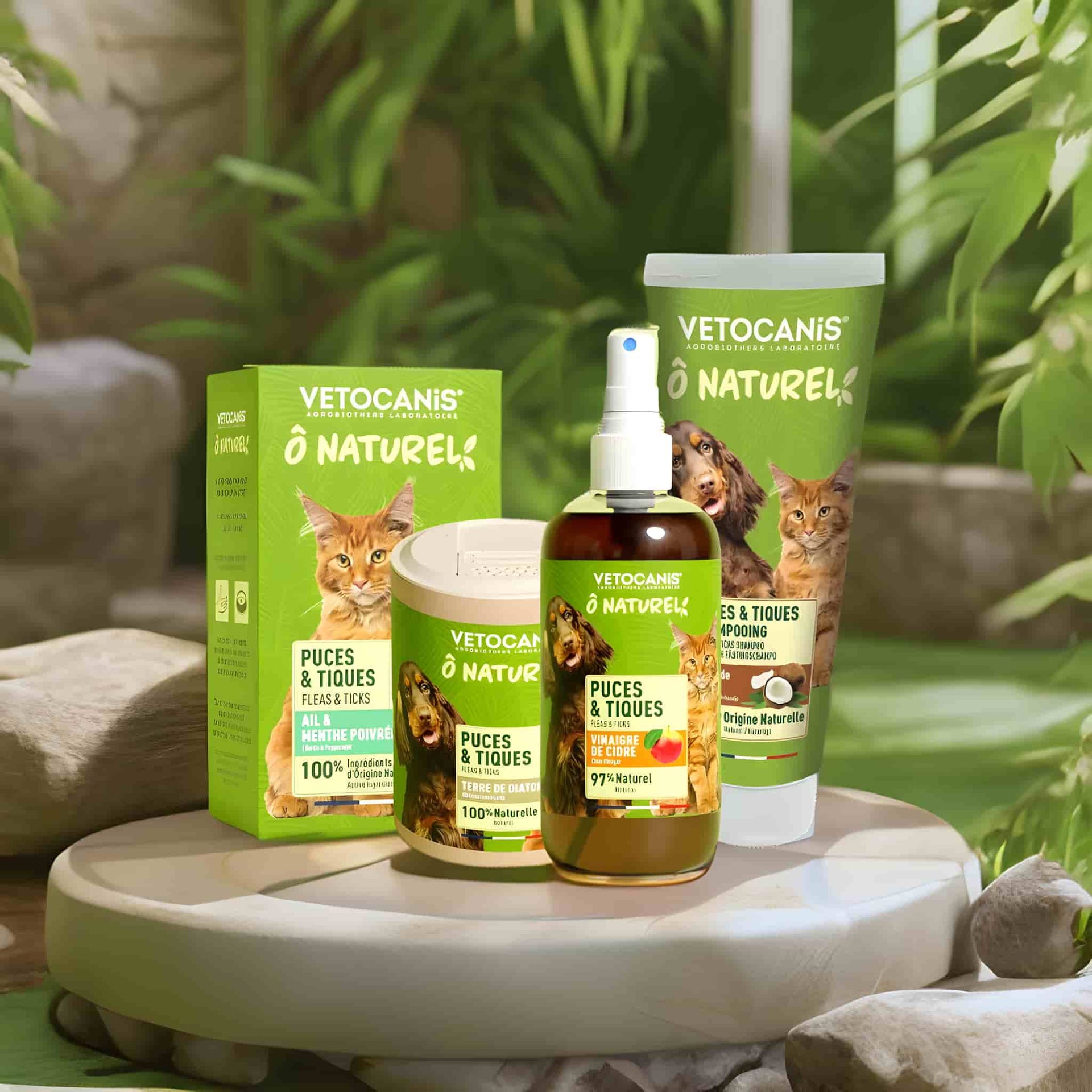 La dermatite par allergie aux piqures de puces ou DAPP chez le chat ...