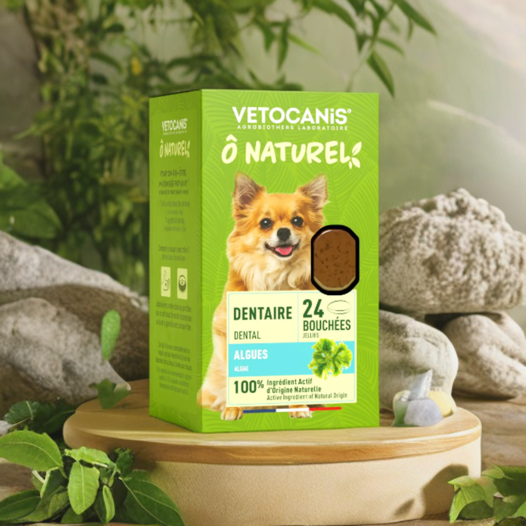 complément alimentaire dentaire chien