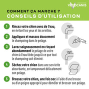 shampoing chien anti odeurs conseils d'utilisation