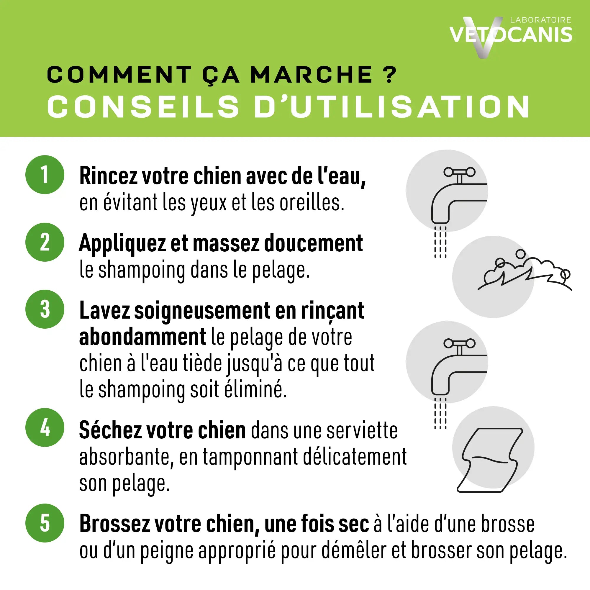 shampoing chien anti odeurs conseils d'utilisation