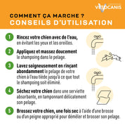 conseils shampoing poilds courts