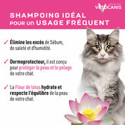 shampoing sec pour chat chaton bienfaits