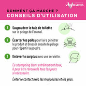 shampoing sec pour chat chaton conseils d'utilisation