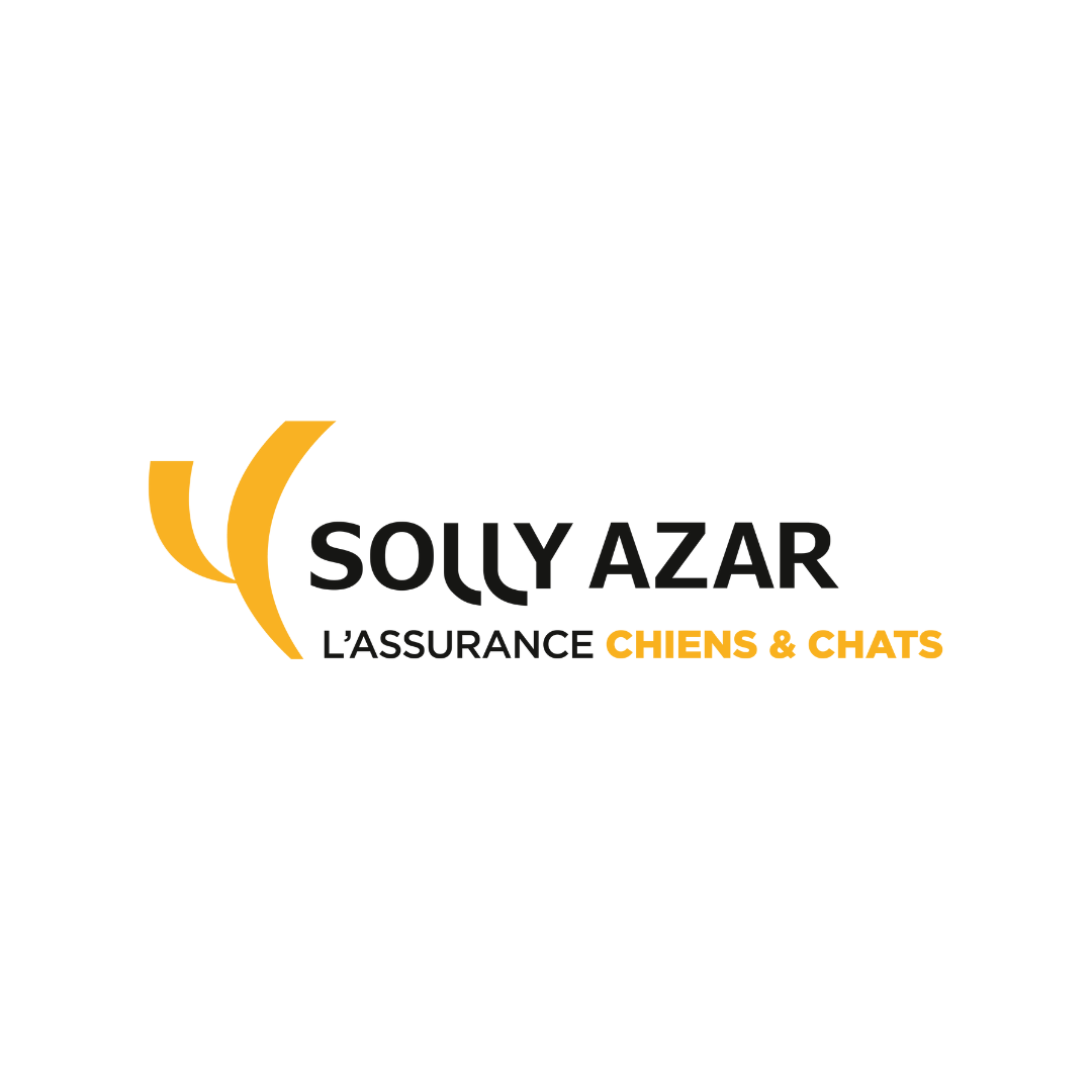 Solly Azar Assurance chien chat