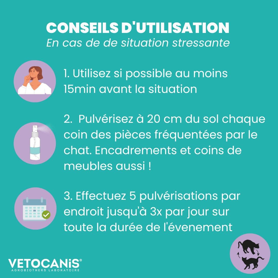 Conseils utilisation spray apaisant chat Vetocanis en cas de situation stressante