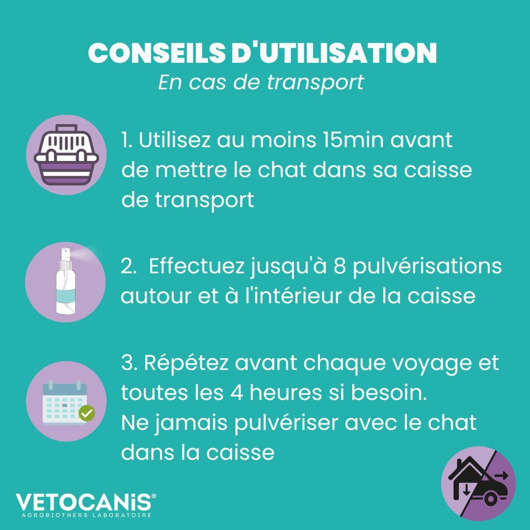 Utilisation Spray Apaisant Vetocanis chat transport 