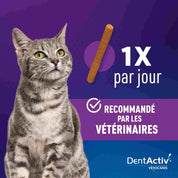 friandise dentaire chat 1x par jour