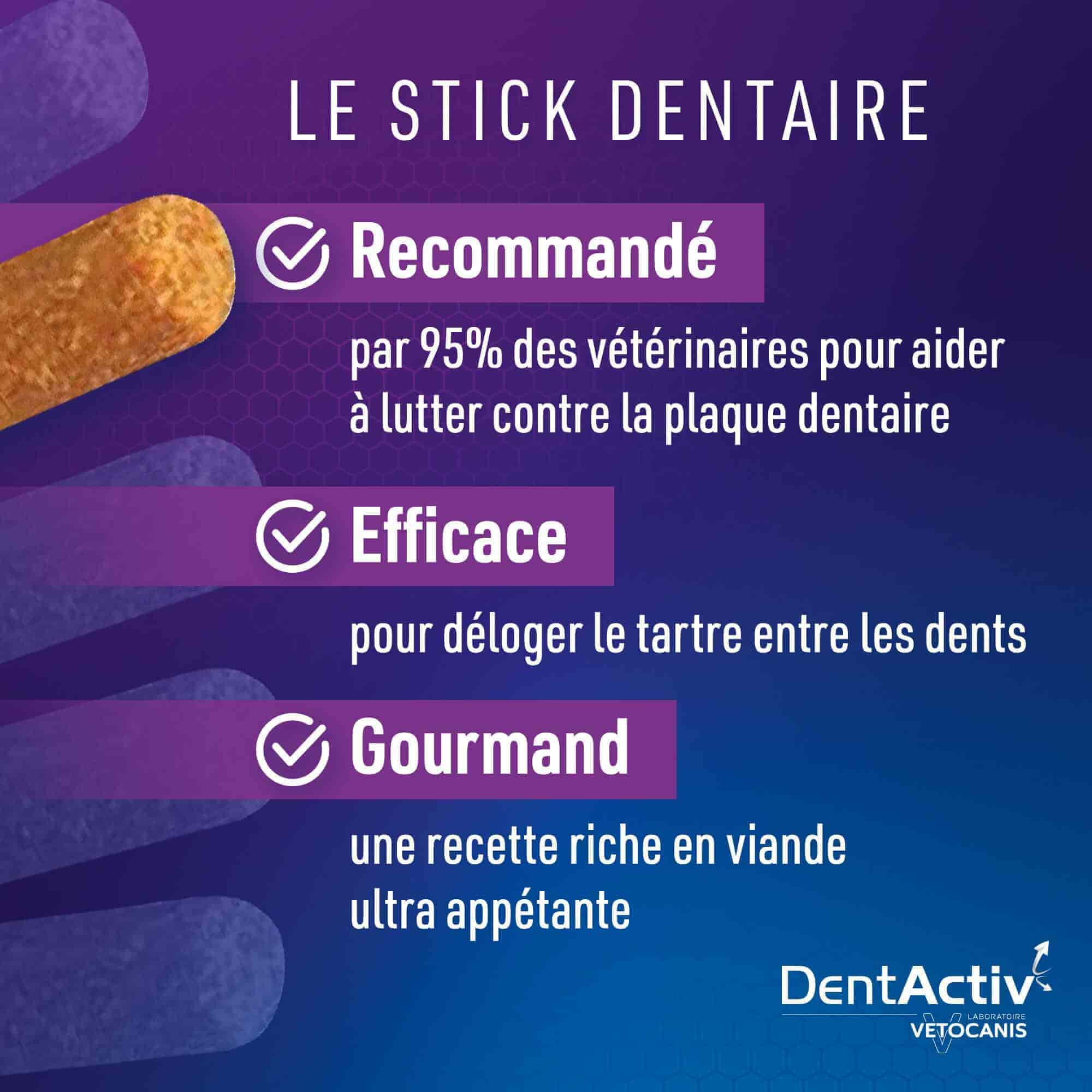 stick dentaire chat