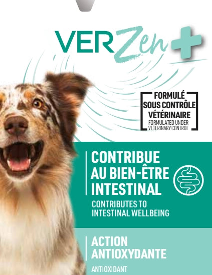 complement alimentaire contre les vers pour chien