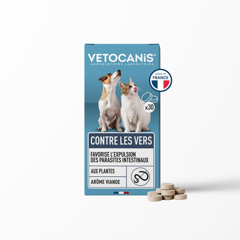 Contre les vers chat