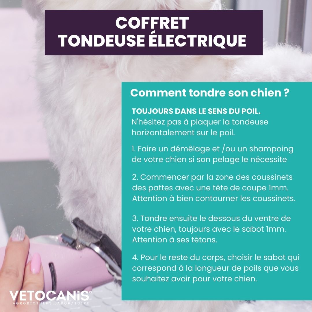 comment tondre son chien vetocanis