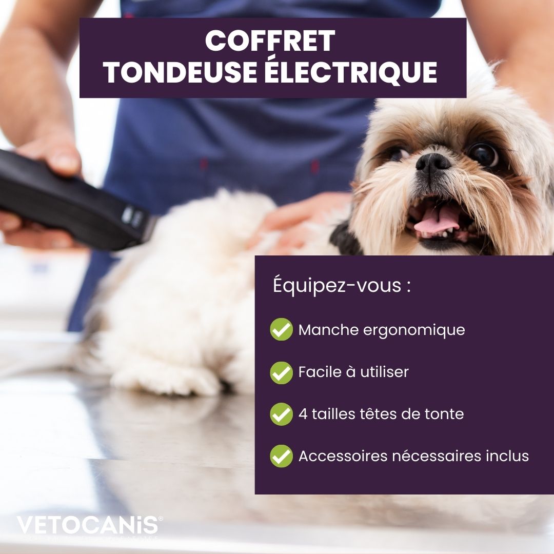 Tondeuse pour chien, Hundeschermaschine / Tondeuse pour chien - Tondeuse  pour poils