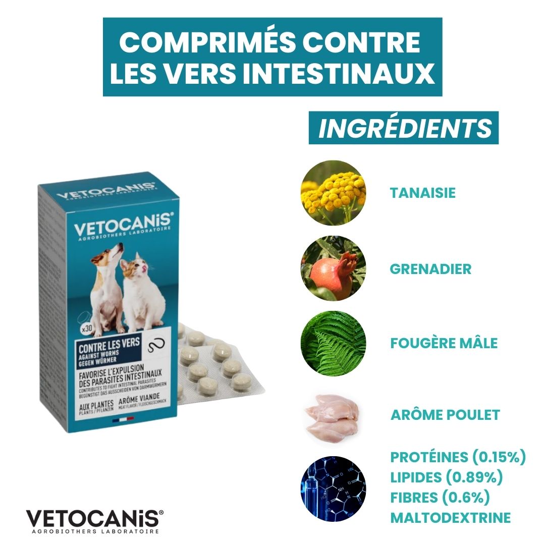 comprimés contre vers Vetocanis ingrédients