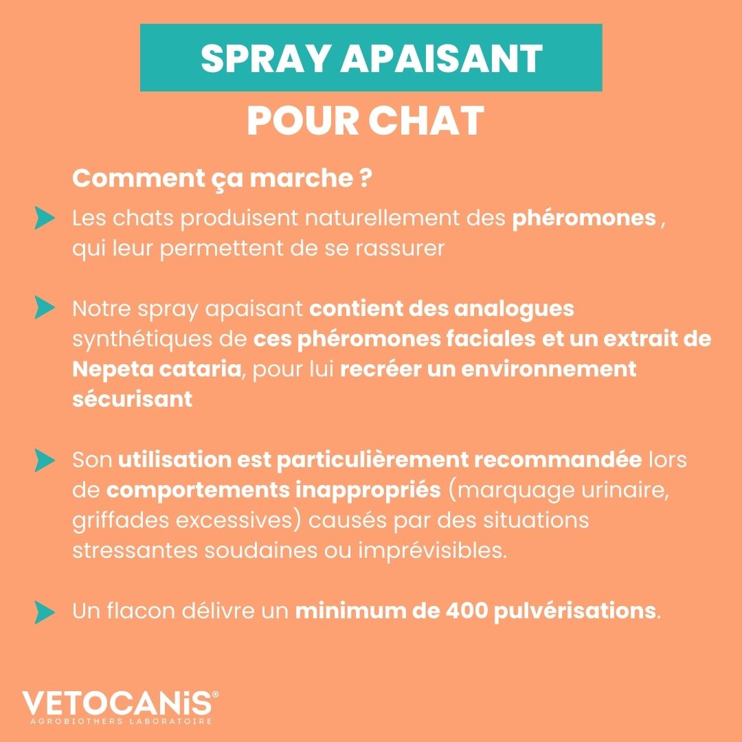 Spray apaisant chat Vetocanis comment ça marche