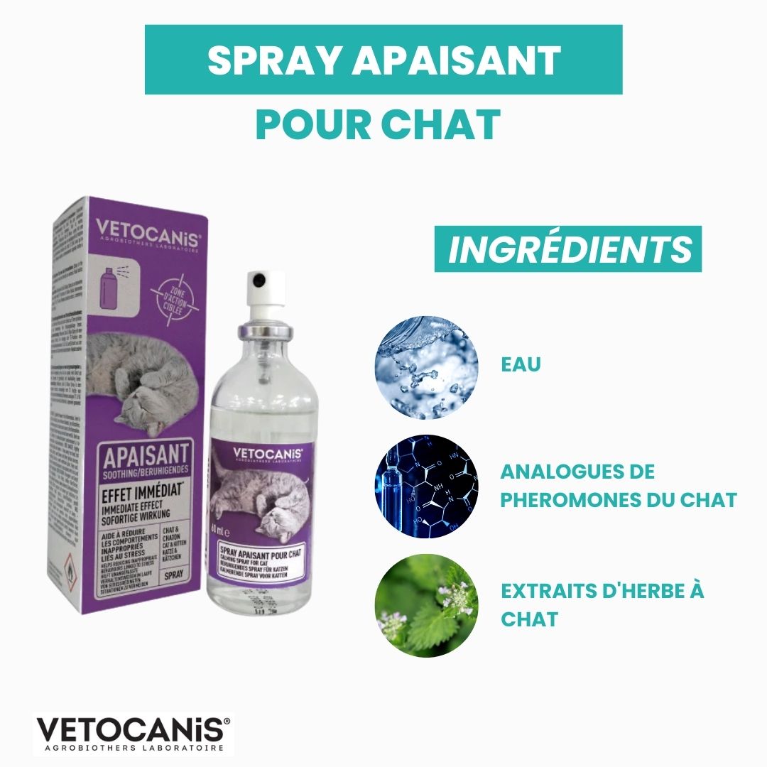 Ubiconfort Spray Apaisant Anti Stress pour Chat, Pheromones Chat, chèvrefeuille et Huile, pour Maison, Transport, Voyage, vétérinaire, + de  400 pulvérisations