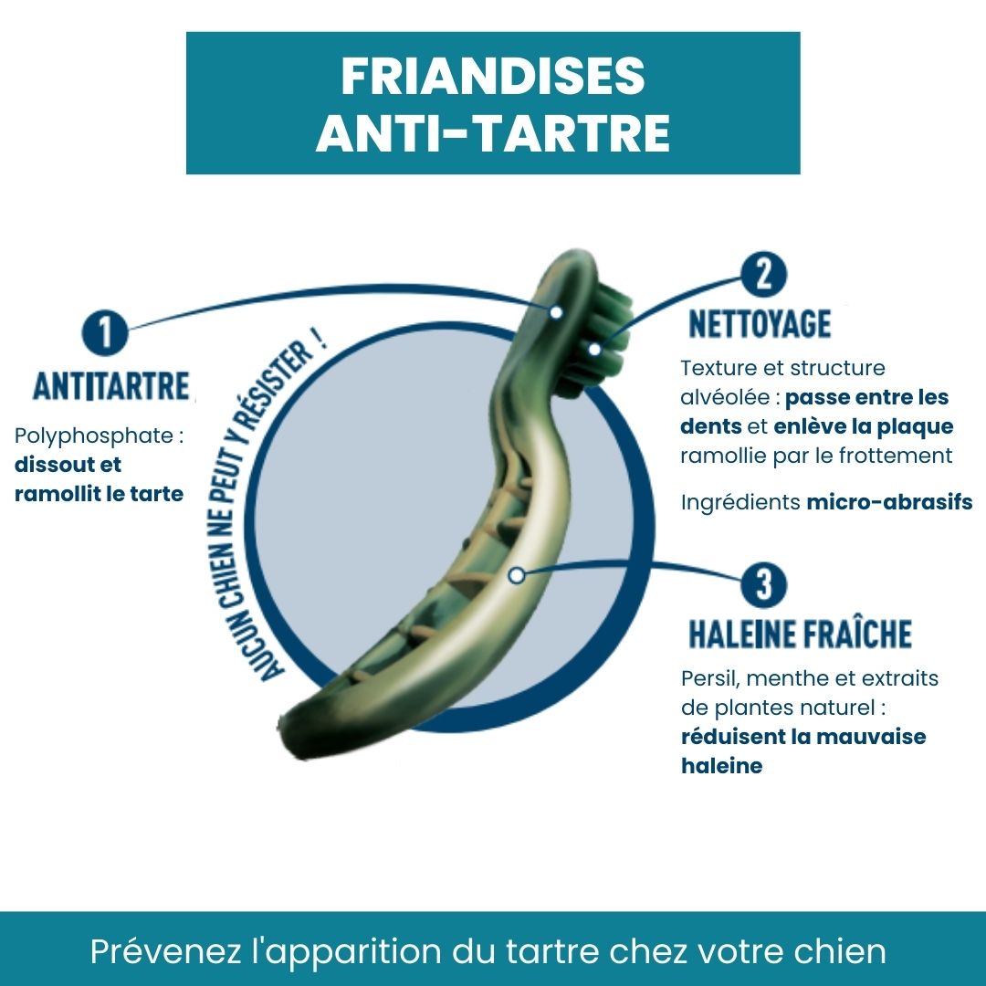 friandise anti tartre chien triple action