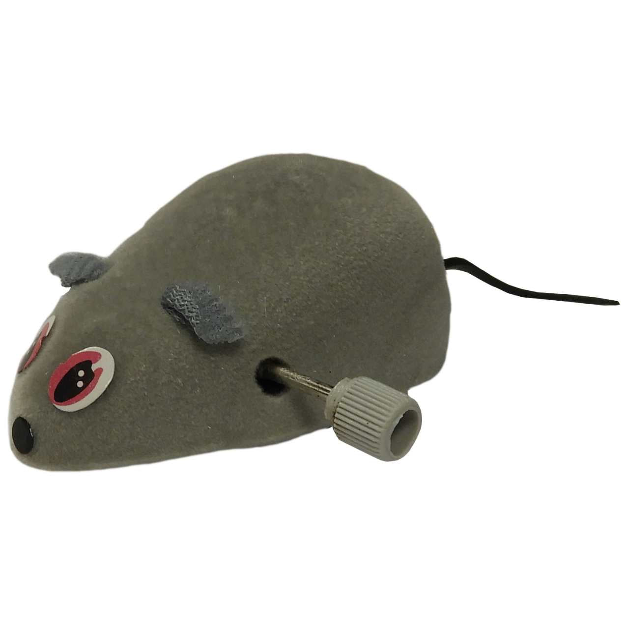 Souris télécommandée pour chat et chaton - Petits Compagnons