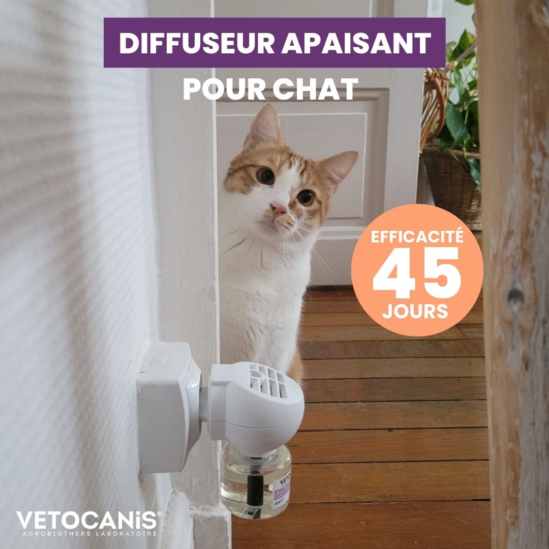 Diffuseur Apaisant pour Chat avec recharge 45 jours - Vétocanis