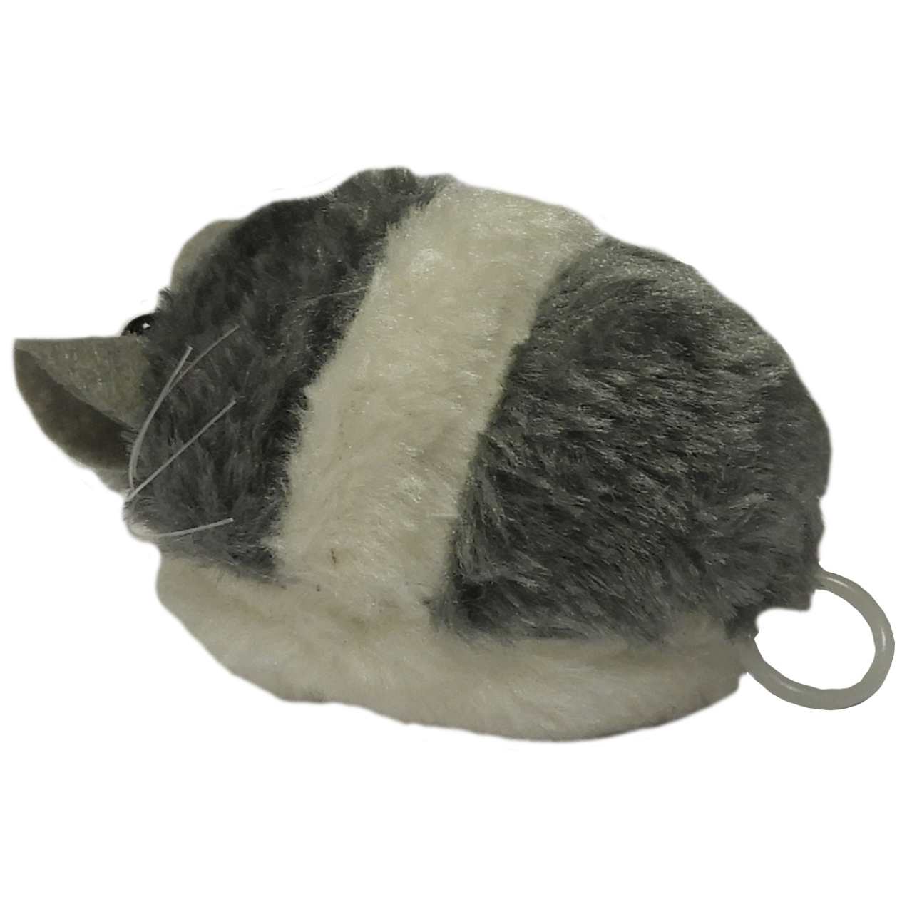 Souris  Chat