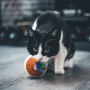 griffoir XXL pour Chat