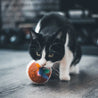 griffoir XXL pour Chat