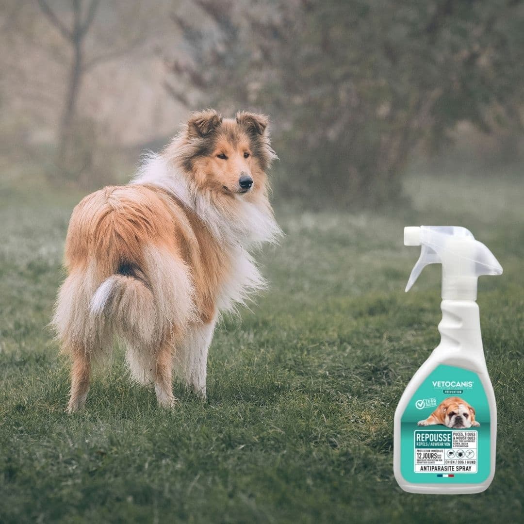 Spray Répulsif Antiparasitaire pour Chien effet immédiat Vetocanis