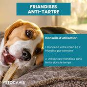 friandises anti tartre chien conseils d'utilisation