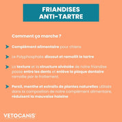 friandise anti tartre chien comment ça marche