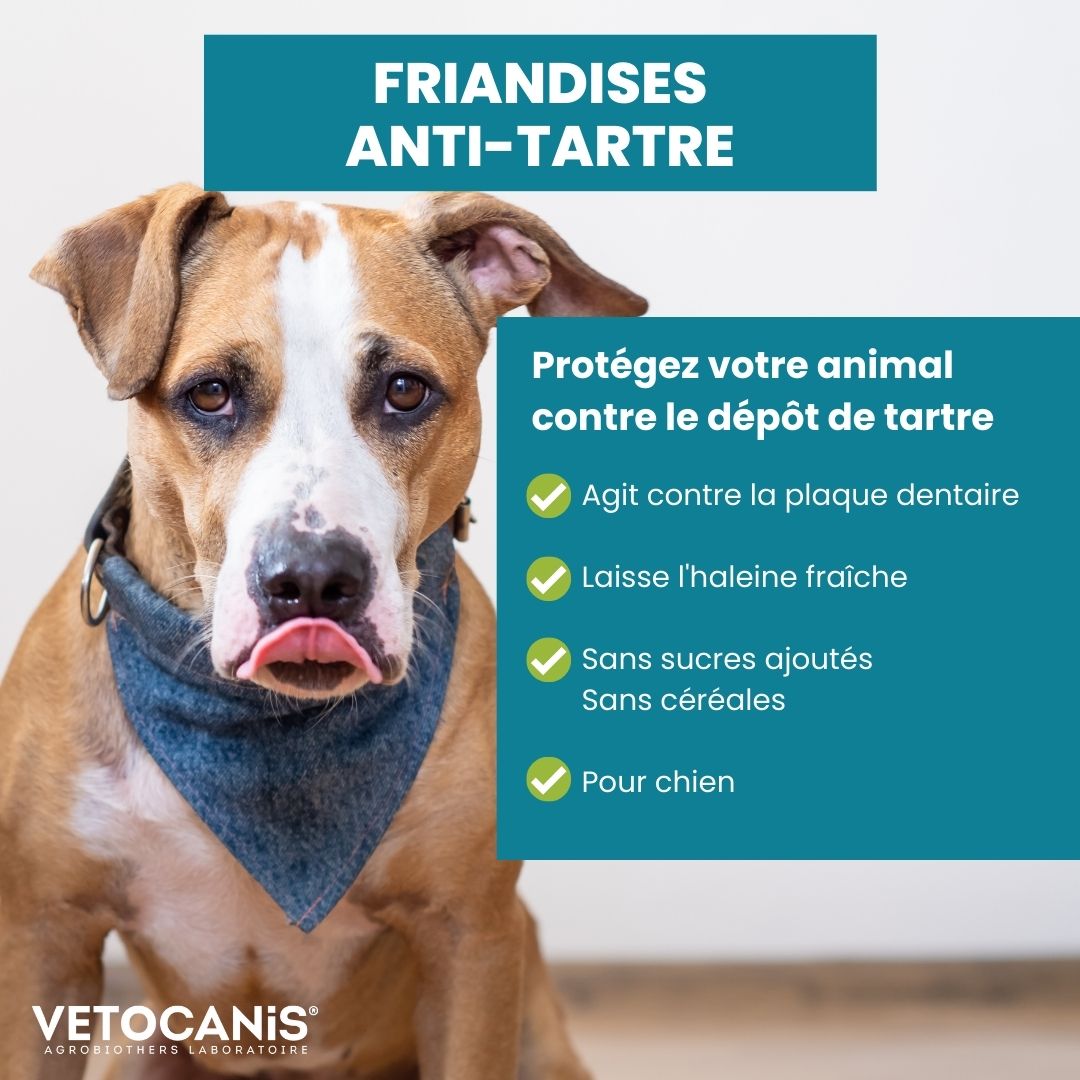 friandises anti tartre chien agit contre le tartre